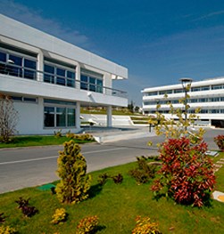 TurkeyOffice_cropped_Office-image